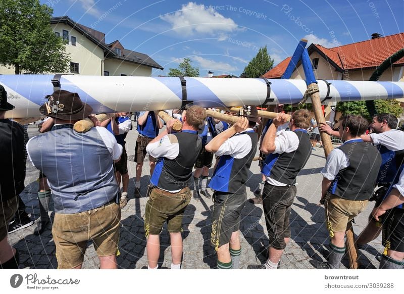 Maypole setting up in Upper Bavaria Lifestyle Feasts & Celebrations May 1 Human being Masculine Young man Youth (Young adults) Group 18 - 30 years Adults