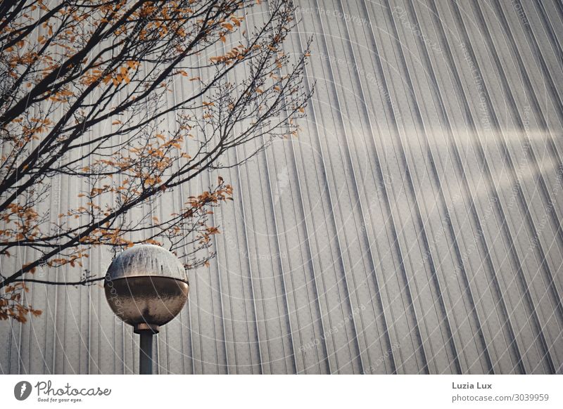 silver roof Town Deserted Building Architecture Hall Facade Roof Street lighting Illuminate Gray Subdued colour Exterior shot Copy Space right Copy Space top