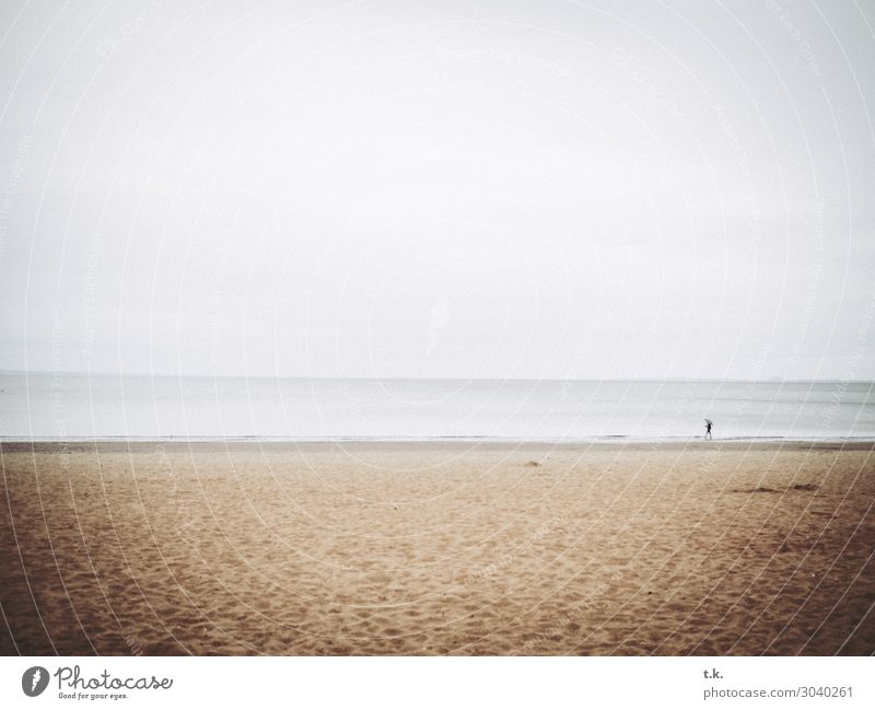 alone at the beach Far-off places Freedom Beach Ocean Nature Landscape Sand Water Sky Rain Coast North Sea Edinburgh Portobello Scotland Loneliness Relaxation