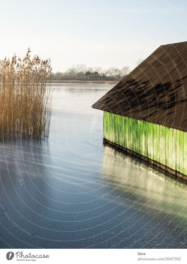 Boathouse in winter Winter Beautiful weather Ice Frost Lakeside House (Residential Structure) Safety Common Reed Cold Colour photo Deserted Copy Space top