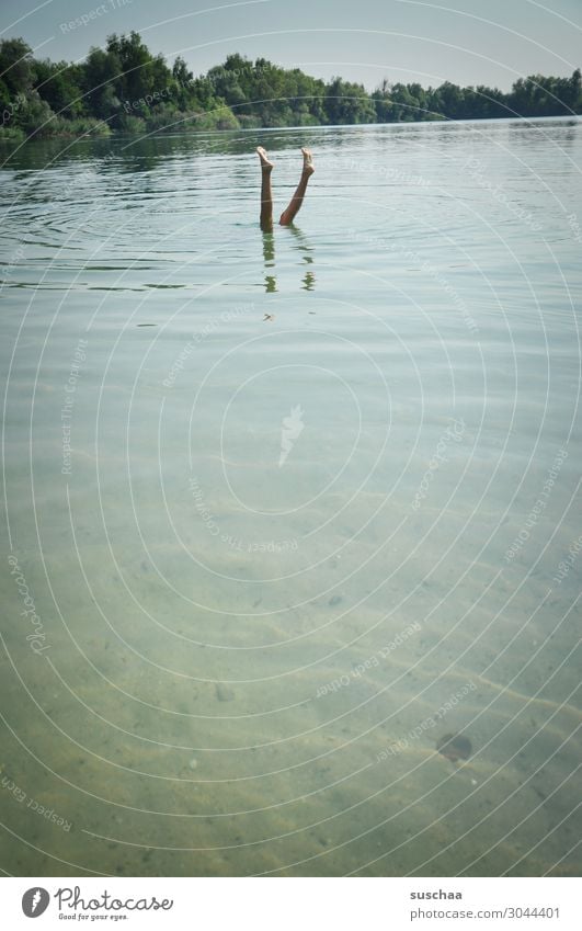 go underground Vacation & Travel Swimming lake Lake Water Nature Reflection Swimming & Bathing Relaxation Sunbathing To enjoy Warmth Wellness Beautiful weather