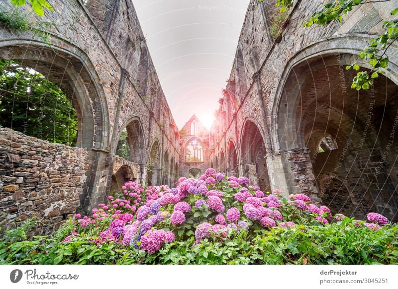 Beauport Abbey in Brittany Vacation & Travel Tourism Trip Summer vacation Village Church Ruin Manmade structures Building Architecture Tourist Attraction