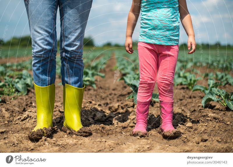 Woman and child on cabbage plantation. Vegetable Parenting Child Gardening Human being Adults Couple Infancy Environment Landscape Plant Earth Boots Growth