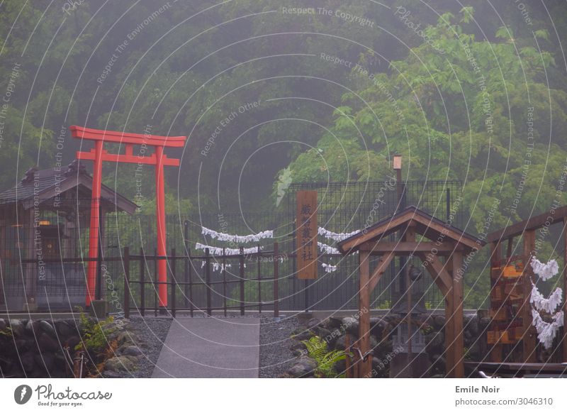 Fog Torii Fujinomiya Japan Architecture Temple O-Torii Gate Adventure Culture Surrealism Tourism Colour photo Exterior shot Day