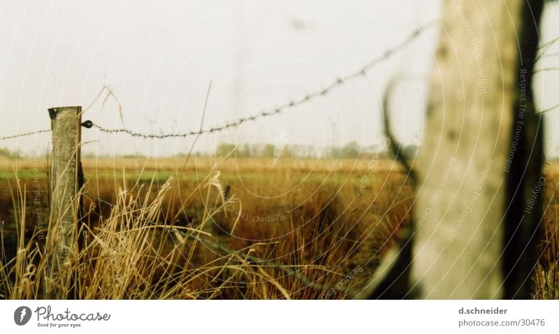 pasture fence Nature Landscape Grass Meadow Field Fence Pasture fence Wooden stake Plain Barbed wire Hay Straw Subdued colour Exterior shot Deserted