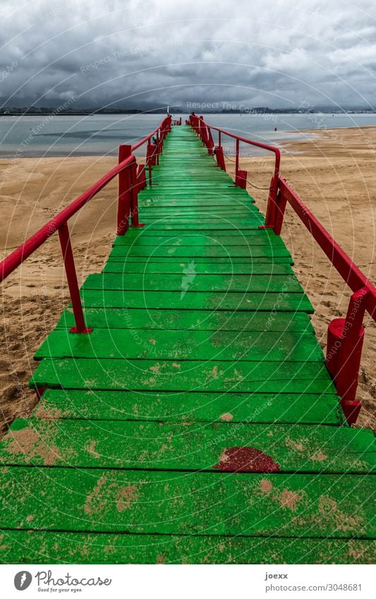 Go green! | 1.700 Landscape Clouds Bad weather Beach Bay Lanes & trails Wood Old Multicoloured Gray Green Red Freedom Horizon Idyll Environmental protection