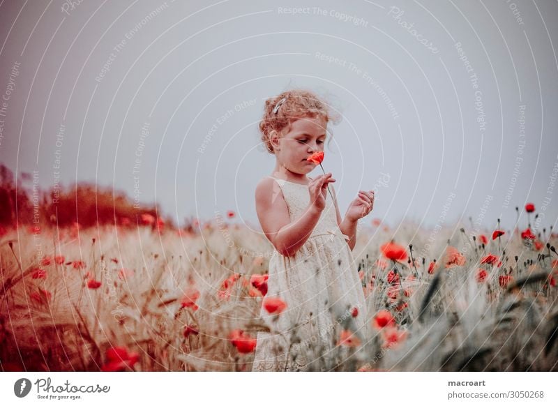 Child in poppy field Poppy field Field Poppy blossom Flower Blossom Red To hold on Girl Woman Feminine Plant Animal Summer Life Multicoloured Enchanting