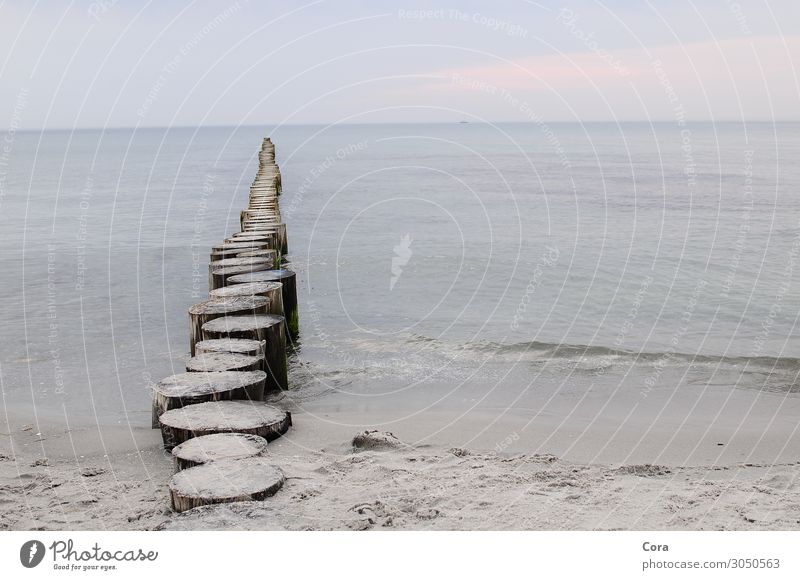 Stage at the sea Nature Landscape Sand Water Sky Horizon Beach Baltic Sea Ocean Break water Romance Calm Longing Subdued colour Exterior shot Deserted