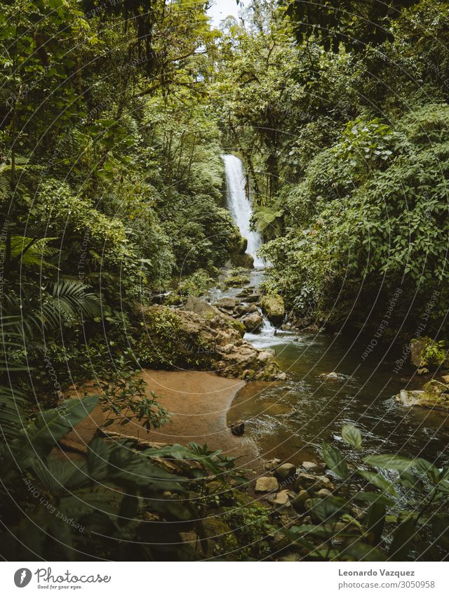 la paz waterfall Environment Nature Landscape Plant Water Drops of water Earth Spring Summer Beautiful weather Tree Garden Park Rock River Tourist Attraction