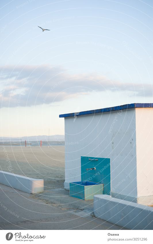 Beach Cabin Sand Sea Water Sky Basin Seagull Bird Blue sky white blue grey Flying Coast Clouds Animal Nature Vacation & Travel Clouds in the sky evening