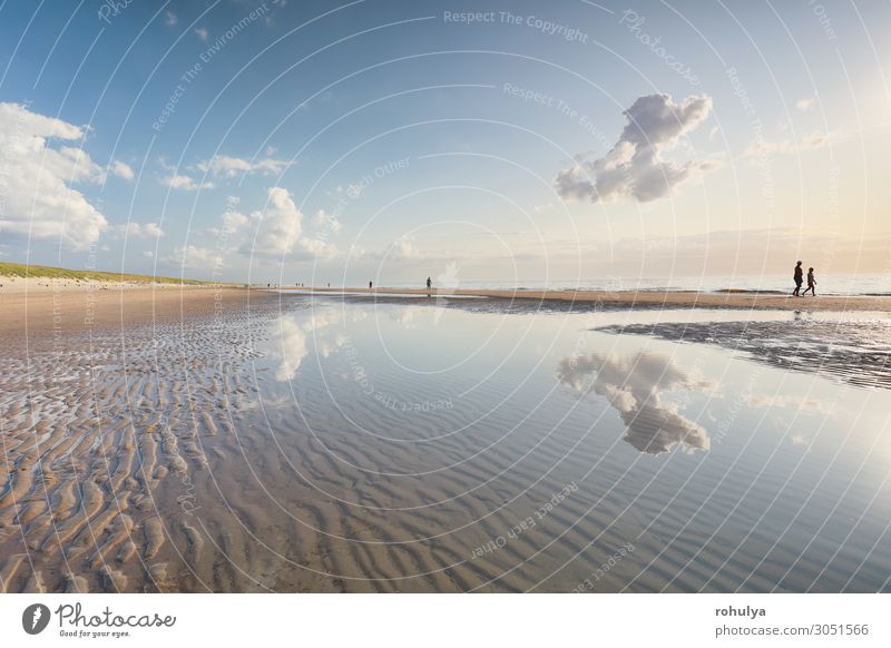 people silhouettes on North sea beach at low tide Relaxation Vacation & Travel Tourism Trip Beach Ocean Family & Relations Couple Nature Landscape Sand Water