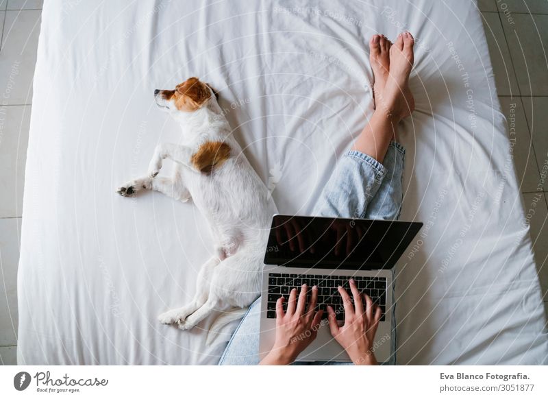 young woman on bed working on laptop.Cute small dog besides Lifestyle Joy Happy Beautiful Relaxation Leisure and hobbies Playing Bed Computer Notebook