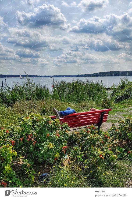 summer day Human being Masculine Hand Legs Feet 1 Landscape Plant Sky Storm clouds Horizon Sunlight Summer Grass Coast River bank Lie Warmth Blue Green Red