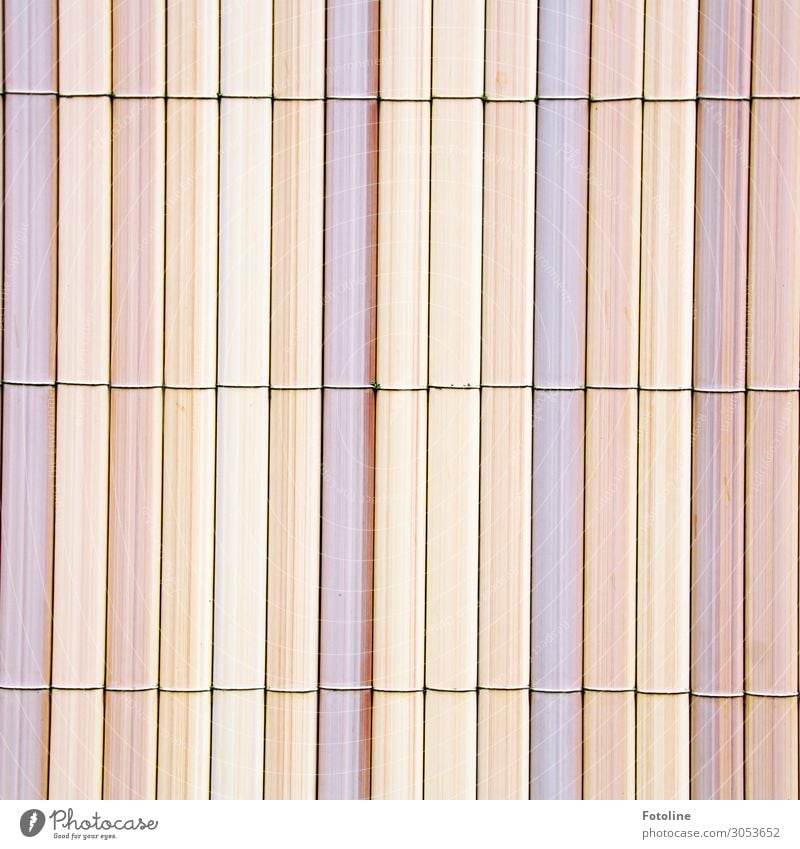 fence Wood Bright Fence Pastel tone Bound Bamboo Bamboo fence Pink Beige Colour photo Multicoloured Exterior shot Deserted Day Light