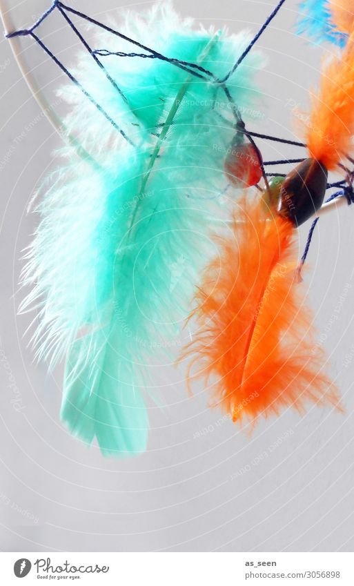 dreamcatcher Wellness Harmonious Bedroom Kindergarten Decoration Kitsch Odds and ends Souvenir Dreamcatcher Hang Esthetic Friendliness Bright Orange Black