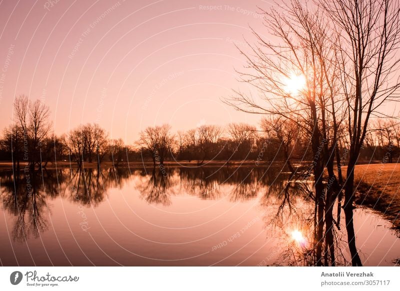 pink sunrise landscape on the lake Beautiful Summer Sun Mirror Nature Landscape Sky Clouds Fog Tree Grass Meadow Forest Hill Lake River Bright Yellow Pink Red