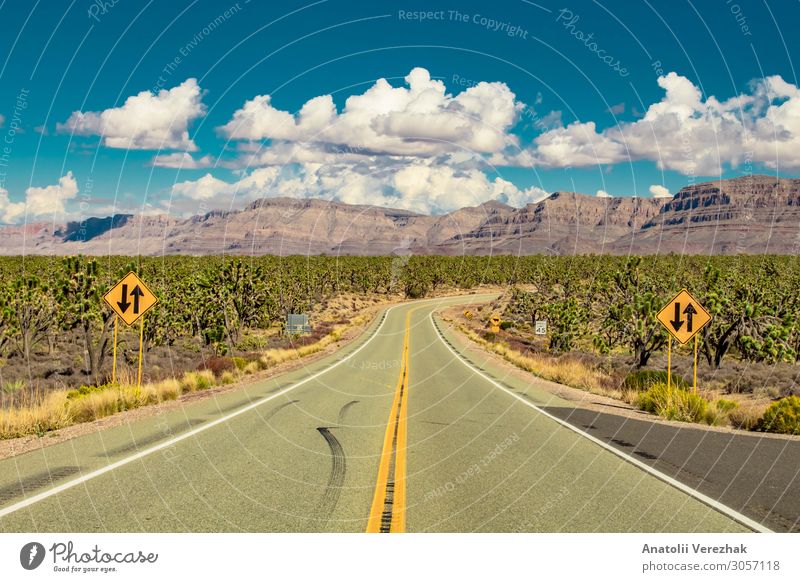 Road in arizona desert through Joshua trees forest Beautiful Vacation & Travel Tourism Summer Mountain Nature Landscape Plant Sand Sky Clouds Tree Grass Cactus