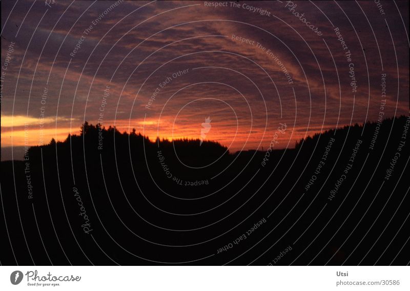 evening mood Clouds Forest Sunset Bavaria Mountain Dusk Idyll