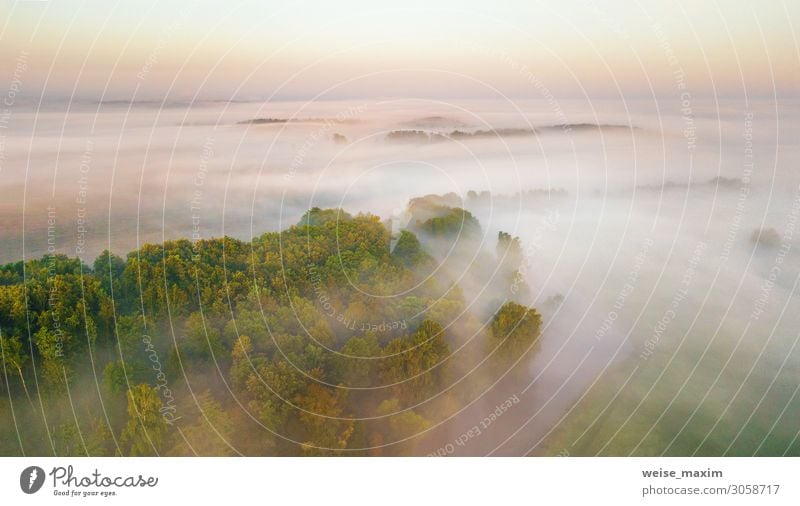 Morning fog over river, meadow and forest. Nature sunlight scene Calm Vacation & Travel Tourism Trip Adventure Far-off places Freedom Summer Environment