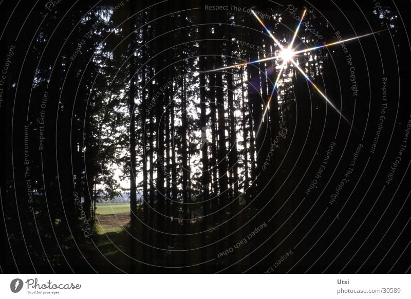 rays of hope Forest Light Bavaria Mountain Sun Shadow star filter