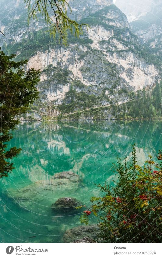 Braies Wild Lake / Lago di Braies Environment Nature Landscape Tree Water Sky Clouds Fog Alps Mountain South Tyrol Pragser Wildsee Lake Prags Wildsee Hiking