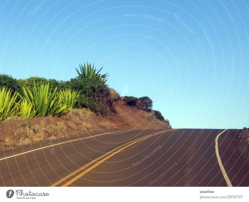 Right Curve on Maui / Hawaii Landscape Cloudless sky Summer Beautiful weather Plant Bushes Aloe Rock USA Americas Street Lane markings Blue Yellow Gray Green