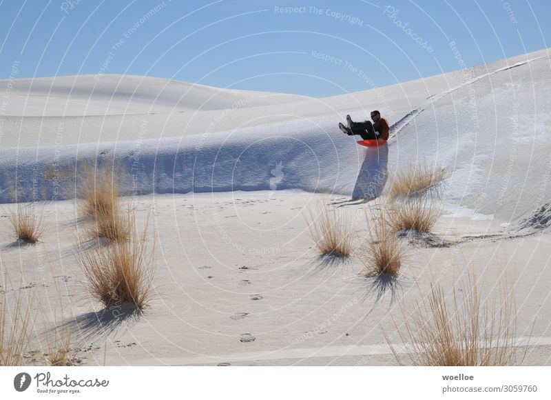 Bob ride in the desert II Joy Leisure and hobbies Snow Bobsleigh Human being Masculine Man Adults 18 - 30 years Youth (Young adults) Sand Cloudless sky Bushes