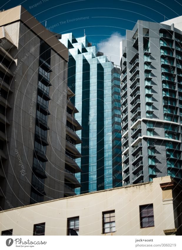 Exterior of the high-rise building Downtown Skyline High-rise Architecture Office building Facade Window Authentic Sharp-edged Large Modern Protection Agreed