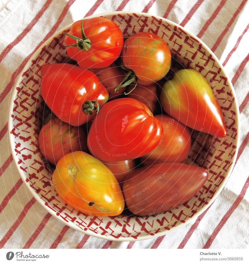 tomato variety Food Vegetable Tomato Nutrition Organic produce Vegetarian diet Italian Food Crockery Bowl Healthy Eating Dish towel Ceramic plate Line Stripe