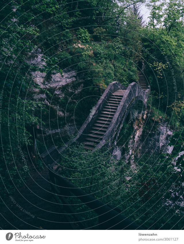 Devil's Bridge Landscape Plant Clouds Spring Climate Bad weather Fog Rain Manmade structures Architecture Hiking Danube valley Zwiefalten incestuous furnace