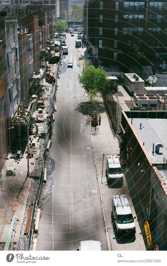 street in harlem Work and employment Profession Craftsperson Construction site Human being Beautiful weather Tree New York City Harlem