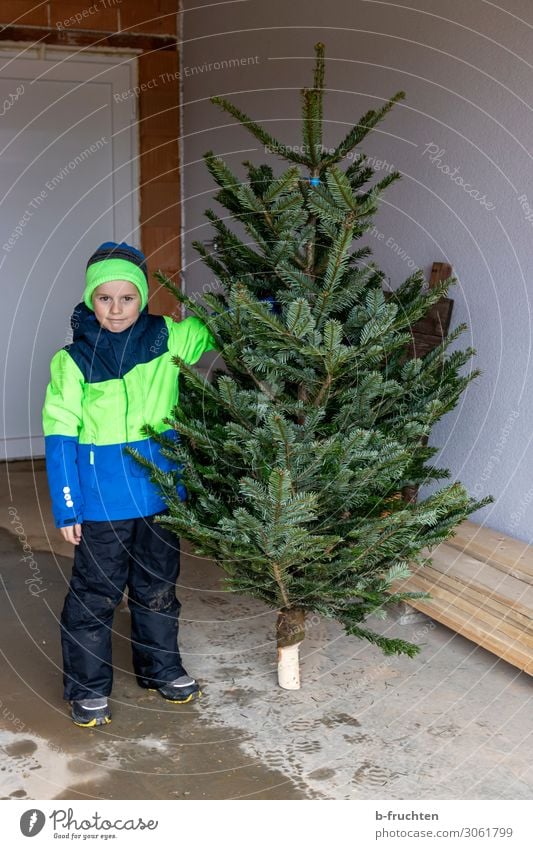 Christmas tree Winter Christmas & Advent Child Infancy 1 Human being 3 - 8 years Tree Jacket Cap Work and employment Select Touch To hold on Stand