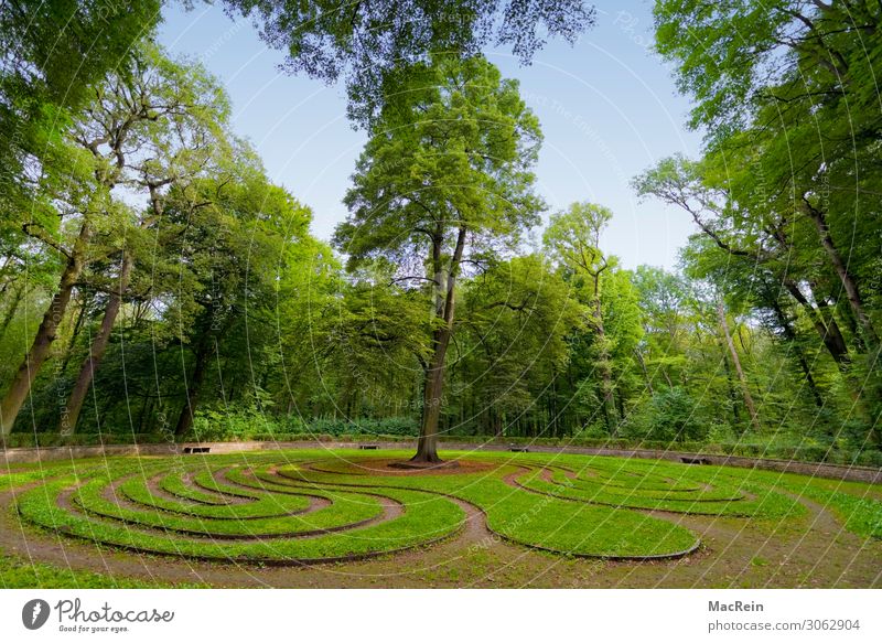 lawn maze Nature Landscape Grass Park Meadow Outskirts Deserted Tourist Attraction Sign Esthetic Labyrinth Forest Tree Garden Sky Colour photo Exterior shot