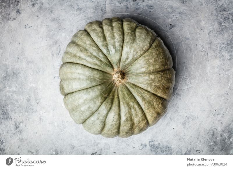 Green autumn pumpkin on grey concrete background beautiful border closeup color copy country decoration decorative design fall flat lay food fresh garden green