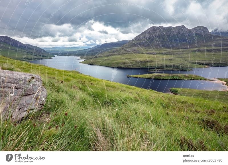 View from Stac Pollaidh, Ullapool, Scotland Landscape mountain Vacation & Travel Trip Far-off places Summer vacation Mountain Hiking Clouds Sunlight Grass