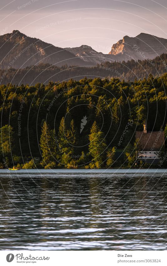 Sunrise at Wallchensee Vacation & Travel Trip Adventure Safari Nature Landscape Water Beautiful weather Lake Lake Walchen Emotions Happy Happiness Contentment