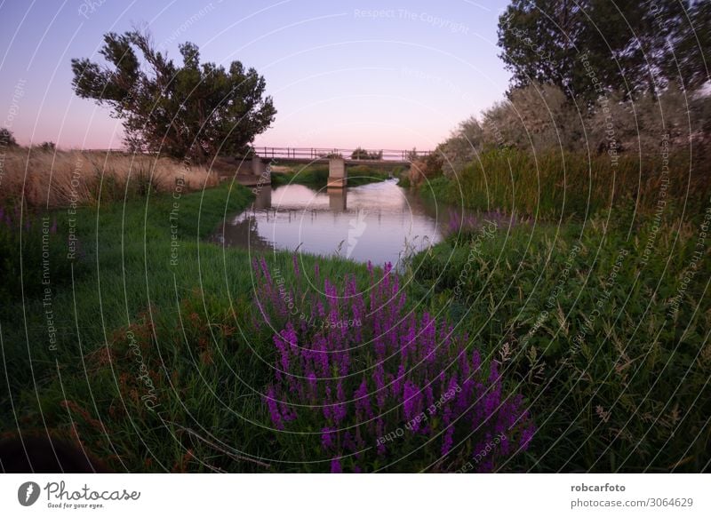 Bridges Vacation & Travel Tourism Culture Landscape Hill Village Ruin Architecture Stone Old Historic wall historical nucleus arch catholic jalón trajan