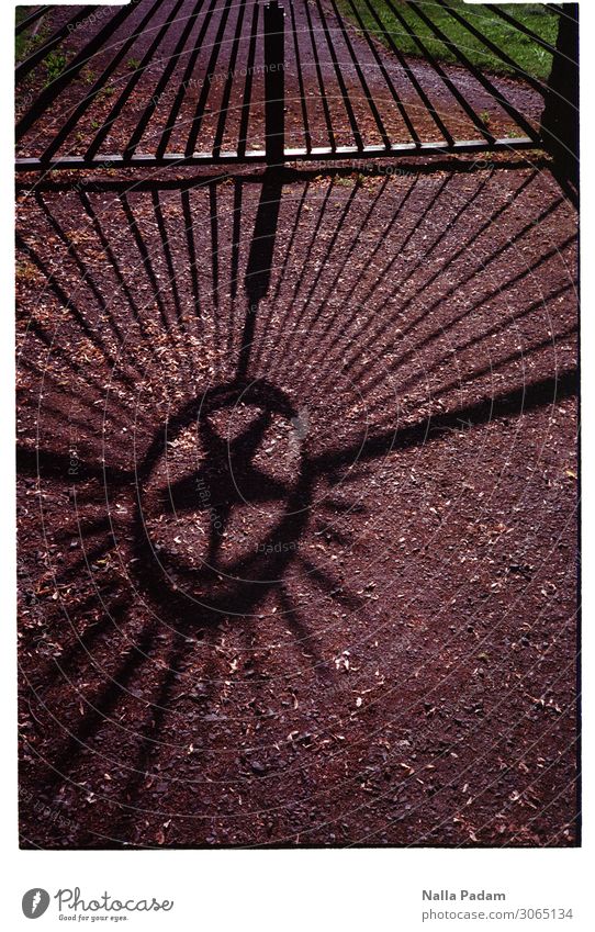 shadow star Weimar Germany Europe Town Deserted Architecture Gate Grating Metal Sign Brown Black Testing & Control Radial Star (Symbol) Colour photo