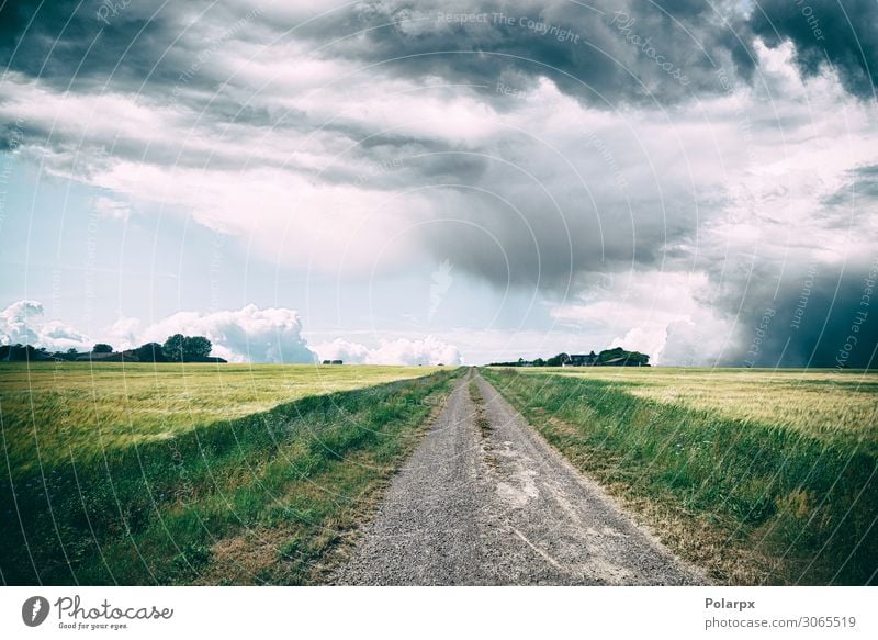 Rural landscape with dark clouds over a countyside Beautiful Vacation & Travel Trip Nature Landscape Sky Clouds Horizon Autumn Climate Weather Storm Rain Flower