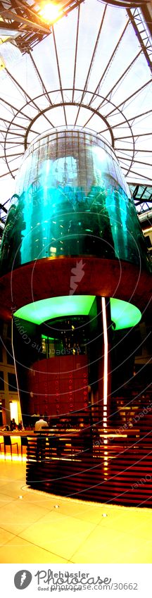 aquarium standing Aquarium Vertical Panorama (View) Elevator Foyer Water Glass Berlin hotel lift ... Large