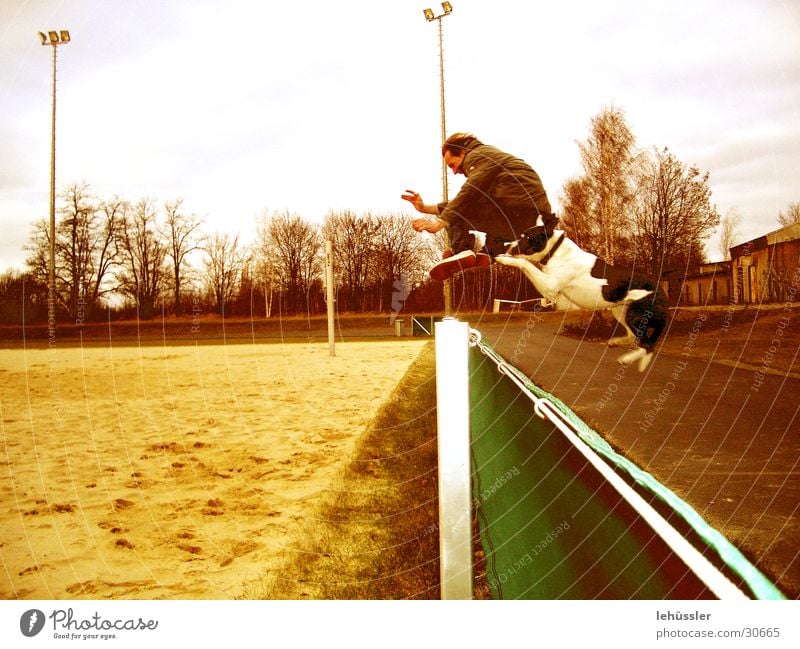 dog_human_jump Dog Jump Fence Sporting grounds Human being Sand