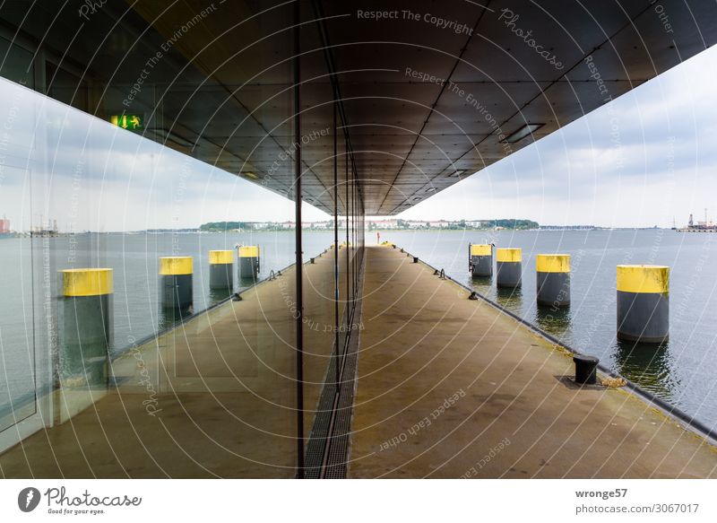 Wismar II Germany Europe Port City Outskirts Deserted Harbour Architecture Wall (barrier) Wall (building) Balcony Window Maritime Town Blue Brown Yellow Gray