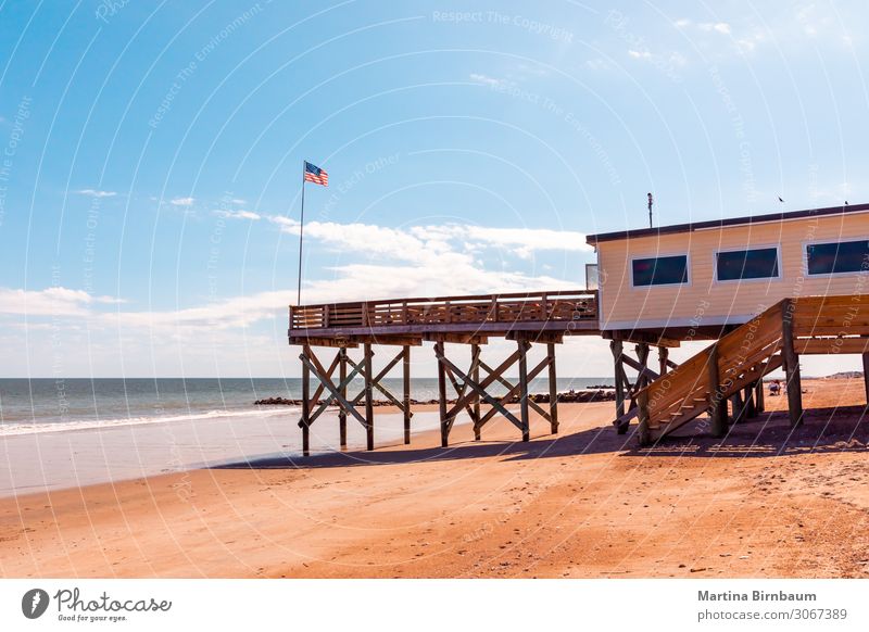 Scenic Edisto Island beach, South Carolina USA Vacation & Travel Tourism Summer Sun Beach Ocean Nature Landscape Sand Sky Horizon Park Coast Bridge Wood Blue