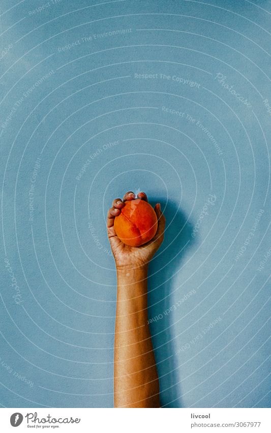 hand hugging a peach on blue wall Fruit Lifestyle Design Human being Woman Adults Arm Hand Fingers Nature To enjoy Embrace Fresh Blue Colour Peach orange people