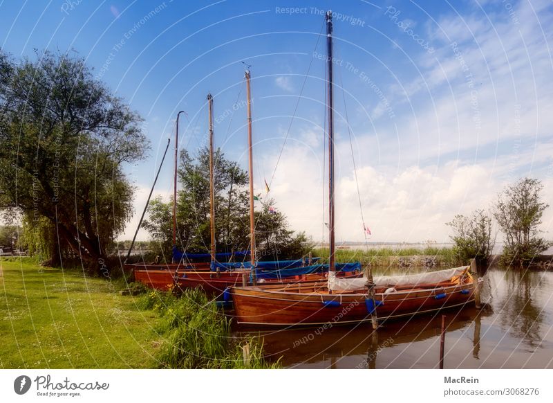 Boats at Steinhuder Lake Vacation & Travel Water Watercraft Sail Footbridge Lower Saxony Vacation destination Sailboat Colour photo Exterior shot