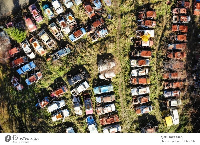 Rusty cars from above Summer Climate change Vehicle Car Vintage car Old Retro Brown Multicoloured Green Fatigue Leisure and hobbies Nostalgia Stagnating