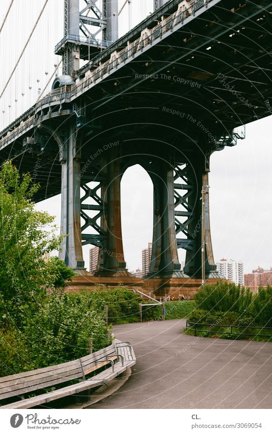 Brooklyn City trip Bushes Park New York City Brooklyn Bridge USA Town Deserted Manmade structures Architecture Tourist Attraction Landmark Transport