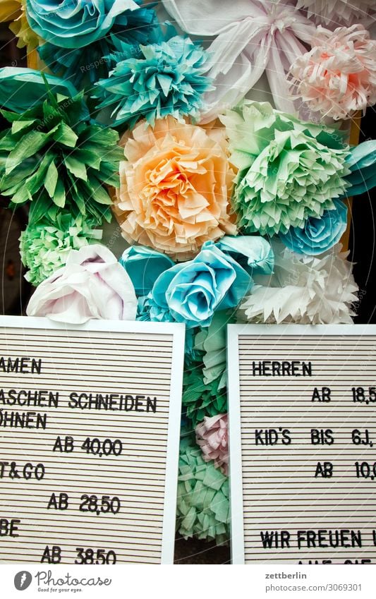 prices Shop window Flower Blossoming Decoration Garden Market garden Deserted Copy Space Rose Colour Multicoloured Art Kitsch Artificial flowers Replication