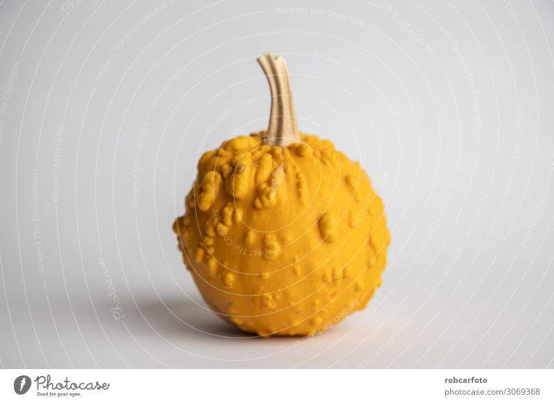 perfect pumpkins on white background Vegetable Decoration Thanksgiving Hallowe'en Plant Autumn Fresh White Pumpkin orange food Mature isolated seasonal Single