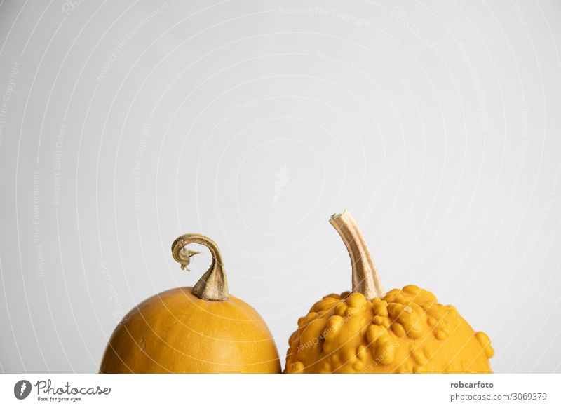 perfect pumpkins on white background Vegetable Decoration Thanksgiving Hallowe'en Plant Autumn Fresh White Pumpkin orange food Mature isolated seasonal Single